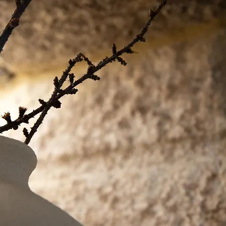 Hébergement de vacances O Rio Da Meiga Beloso