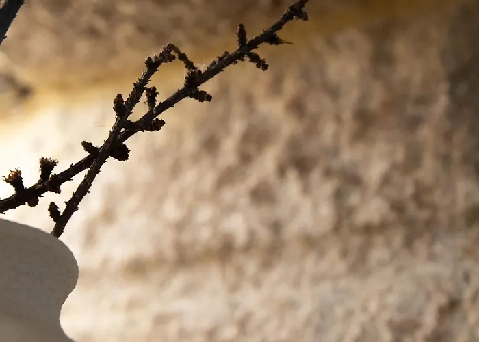 Prázdninový dům O Rio Da Meiga Beloso